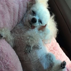 Meet your Posher, Bethany